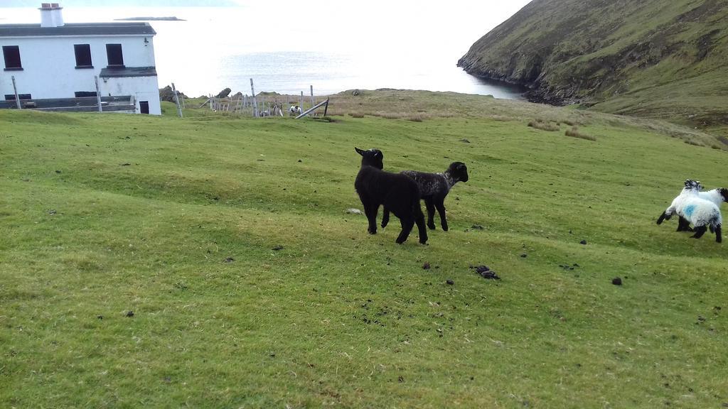 Achill West Coast House Dooagh Exterior foto